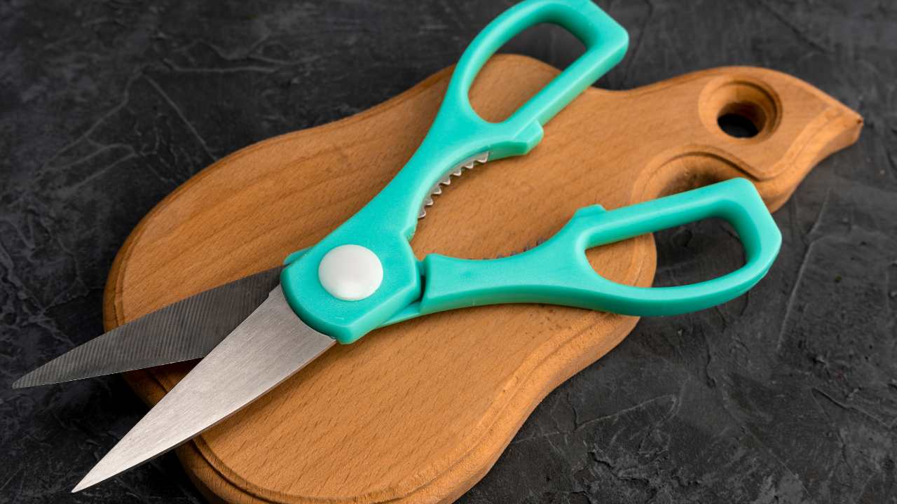 What Are the Best Quality Kitchen Scissors